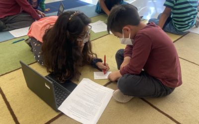 A Visual Arts Teacher’s Experience with Project-Based Learning