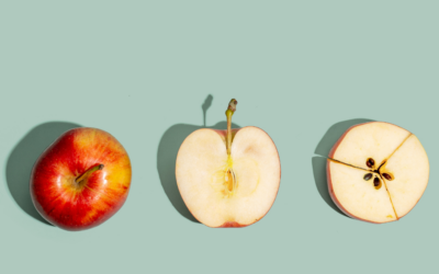 Choosing Our Words Wisely: Art Education and the Power of Language